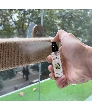 Herbal Cat Joy Spray - Natural Catnip & Behavior Solution for Cats & Kittens | Celery Pets - Buy Online on GoSupps.com