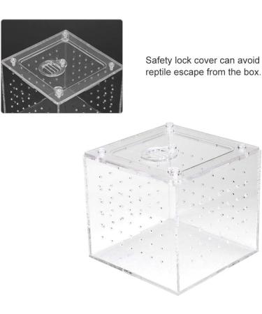 Reptile Breeding Box Reptile Terrarium Feeder Snakes Spider Lizard Feeding Acrylic Box Case Insects House for Lizard Chameleon Spider Frog Cricket Turtle Crab - Buy Online on GoSupps.com