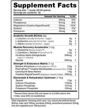 NutraBio Reload Post-Workout Supplement - Muscle Recovery Formula with Creatine, BCAAs, and Glutamine - Grape Berry Crush - 30 Servings - Buy Online on GoSupps.com