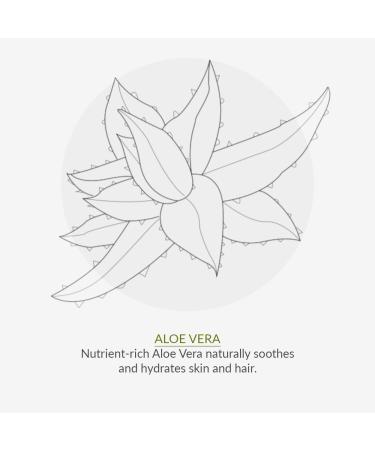 GREEN PEOPLE Organic Children Berry Smoothie Hand Cream 50ml Nourishing organic children s hand cream with delicious fruity scent 91% certified organic ingredients - Buy Online on GoSupps.com