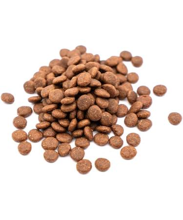 BREEDNA - Cat Adult Fish&Turkey+ 3kg | 100% Natural Cat Food | Salmon Herring and Turkey | Hypoallergenic Food | Adult Cat Food - Buy Online on GoSupps.com