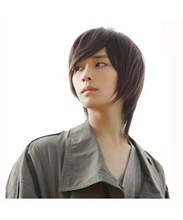 BGHJUE Mens Wig Male Hair Natural Black Short Straight Hair Synthetic Full Wigs Black