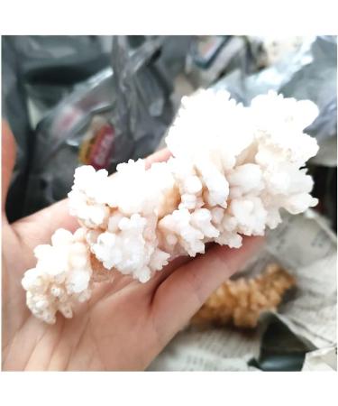 Rare Natural Raw Quartz Crystal Cluster Stones Crystal Point Specimen Home Decoration Raw Crystals Full of Texture (Size : 80-130g) - Buy Online on GoSupps.com