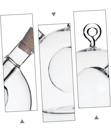 Zerodeko 2 Pcs Kitchen Oil Control Pot Honey Dispenser Container with Lid Oil Sealing Bottle Glass Caster Glass Storage Bottle with Cork Oil Dispenser Bottle Olive Oil Food Glass Bottle 11.5x10cmx2pcs Transparent Colorx2pcs - Buy Online on GoSupps.com