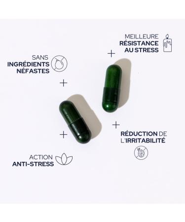 EPYCURE - Anti-Stress Cure - Reduces Cortisol Relieves Stress & Nervous Fatigue - 2 in 1-95% Natural Action - Vitamins B6 B9 B12 and Magnesium - 1 Month - Vegan - Made in France - Buy Online on GoSupps.com