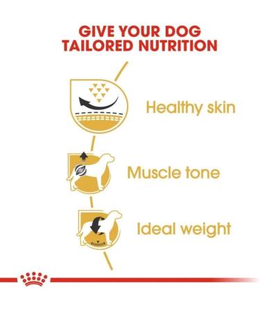 7.5KG Royal Canin Pug Adult Complete Dog Food 7.5 kg (Pack of 1) - Buy Online on GoSupps.com