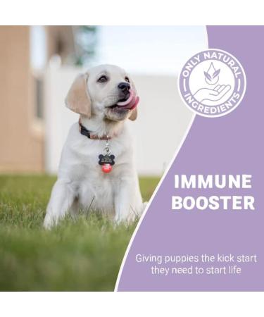 Pets Purest Life Drops for Puppies 10ml - Natural Puppy Gut Health & Energy Booster for Organ Development & Digestive Support - Buy Online on GoSupps.com