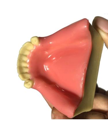 DYTAH Dental Implant Teeth Model Lower Jaw 6 Teeth Soft Gum Teeth For Dental Students Teaching And Studying