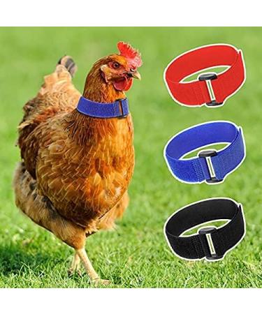 6-Piece Anti-Crow Rooster Collar - Nylon Neck Belt to Prevent Chicken Noise and Disturbance - Buy Online on GoSupps.com