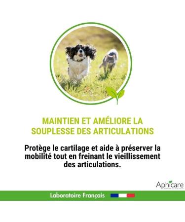 Aphicare - Joint - Flexibility and mobility - Powder 100 GR -Harpagophytum - Chondroitin - Glucosamine - Made in France - Buy Online on GoSupps.com