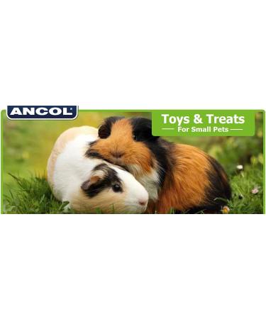 Anco Just 4 Pets Carrot Nibbles Chew Toy for Rabbits & Guinea Pigs - Buy Online on GoSupps.com