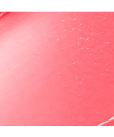 Palladio Butter Me Up Sheer Color Balm - Luscious | Hydrating Lip Tint - Buy Online on GoSupps.com