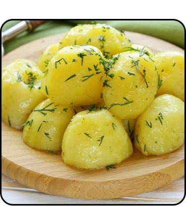 Aneth s ch aromatique | Herbe naturelle pour assaisonnement et cuisine 100 Grammes | Saveur intense KUCHNIA ZDROWIA 100g - Buy Online on GoSupps.com