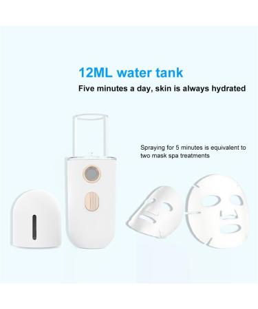 Rechargeable Hand-held Facial Mister Portable Hydrating Professional Face Humidifier Sprayer - Buy Online on GoSupps.com