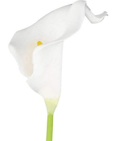 Buy PHTOIT Calla Lily 10 Head Latex Real Touch KC51 White - Premium Quality Artificial Flowers for International Shipping - Buy Online on GoSupps.com