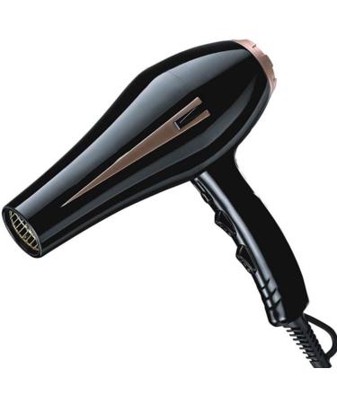 ADITAM Professional Hair Dryer Negative Ionic Salon Blow Dryer with Concentrator Nozzle Fast Dry Ac Motor Black Double The Comfort - Buy Online on GoSupps.com