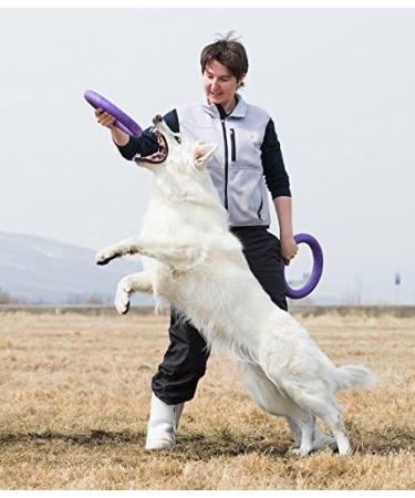 PULLER Standard 28 cm Interactive Dog Toy Fitness Tool Set - Buy Online on GoSupps.com