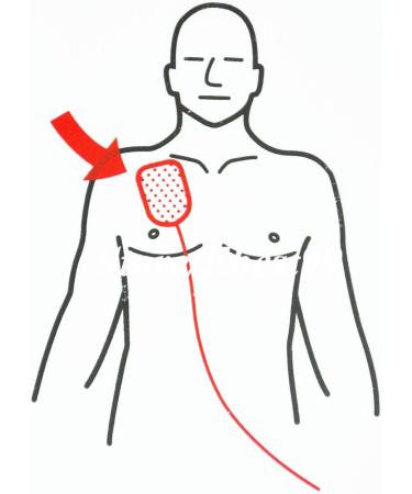 Adult Training Electrode Pads for AED Trainer - 1 Pair - Buy Online on GoSupps.com