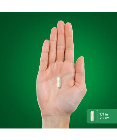 Piping Rock Magnesium Oxide 500mg | 90 Capsules | Non-GMO Gluten Free Supplement - Buy Online on GoSupps.com