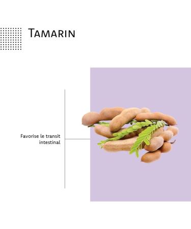 ARAGAN - Synactives - Transitactives - Intestinal Transit Food Supplement - Tamarind Purple Psyllium Prune Chicory - 20 capsules - 10 days taken - Made in France - Buy Online on GoSupps.com