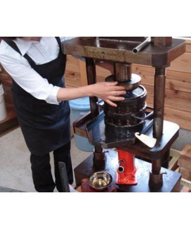 Aya Japanese Camellia Hair and Body Oil - Cold-Pressed & Unrefined | Premium Natural Moisturizer for Healthy Hair & Skin - International Shipping Available - Buy Online on GoSupps.com