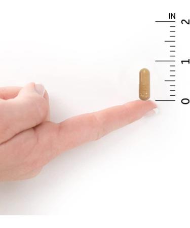 Garden of Life Vitamin Code Raw B Complex - 60 Vegan Capsules for Energy & Metabolism | High Potency B6, Folate & B12 with Probiotics - Buy Online on GoSupps.com