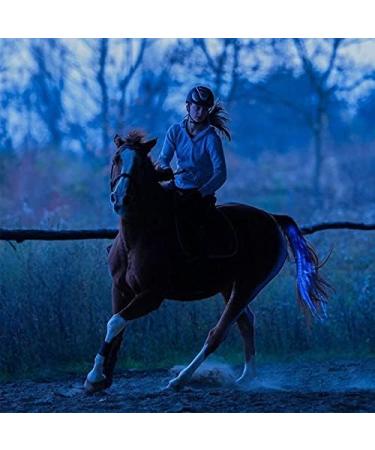 CZP New 100CM Horse Tail USB Lights Chargeable LED Crupper Horse Harness Equestrian Outdoor Sport Horse Riding Tail Lights Equipment 100cm BLUE - Buy Online on GoSupps.com