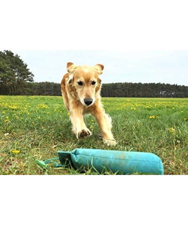 Romney's Canvas Dummy - Orange - 500g 500g orange - Buy Online on GoSupps.com