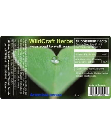 Artemisia Annua Herb Tincture Extract (2 oz) 2 Fl Oz (Pack of 1) - Buy Online on GoSupps.com
