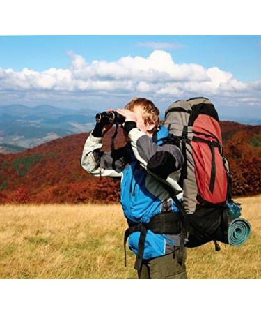 Coleman Premium Powerhouse Dual Fuel Lantern - Bright and Reliable Lighting for Outdoor Adventures - Buy Online on GoSupps.com