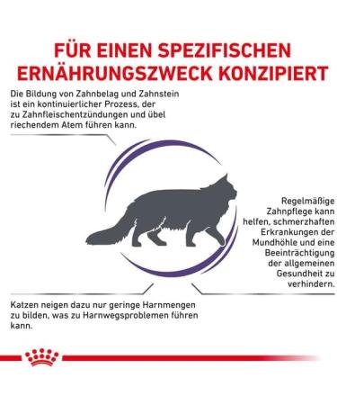 Royal Canin Cat Food Veterinary Dental DS0 29 - Buy Online on GoSupps.com