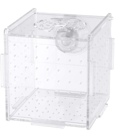 POPETPOP Fish Breeding Box - Isolation Hatchery for Small Baby Fish & Shrimp - Suction Cup Size 1 - Buy Online on GoSupps.com