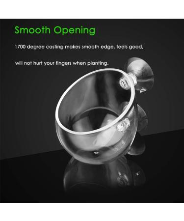 Capetsma Aquarium Plant Pot Glass - 1 Pack with 2 Suction Cups for Stunning Fish Tank Decoration - International Shipping Available - Buy Online on GoSupps.com