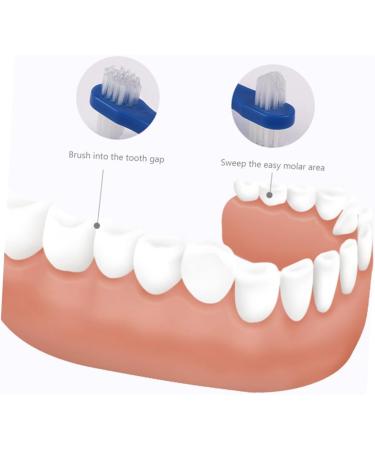 Frcolor 3ST Toothbrush - Effective Hard Prosthesis Cleaning Brushes & Household Braces Care Accessories - Spot Removal Tools for Prosthetic Care - Buy Online on GoSupps.com