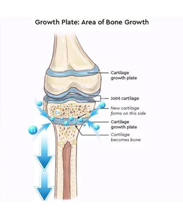 KNVSS Far Infrared Schorl Titanium Ion Heightening Booster Socks - 2 Pairs, Medium - Buy Online on GoSupps.com