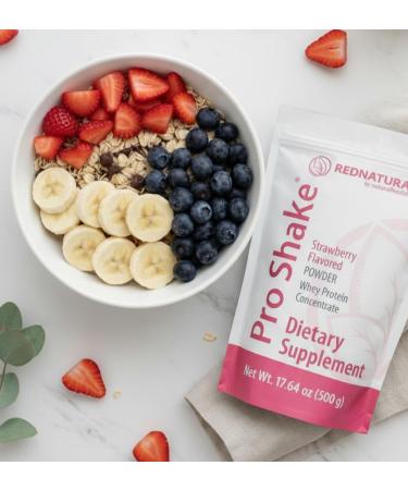 Pro Shake by RedNatura Chocolate Whey Protein Powder | Nutritional Supplement for Energy Muscle Support & Daily Nutrition 17.64 oz (500 g) (Strawberry) - Buy Online on GoSupps.com