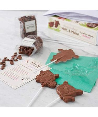 Choc On Choc Chocolate Make Your Own Lollipop Animals Kit 300g Choc Box - Buy Online on GoSupps.com