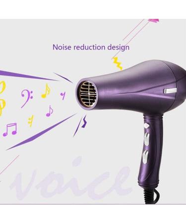 2300 Watt Powerful Hair Dryer with 2-Speed and 3 Temperature Settings Cool Shot Function Professional Salon Hairdryer Ionic AC Motor Blow Dryer with 2 Nozzle Fast Blow Dryer Purple Small Gift - Buy Online on GoSupps.com