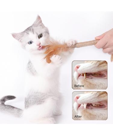 Hiqe-fl Cat Toy Set - 6pcs Catnip Sticks & 15pcs Dental Toys for Cats - Matatabi Chewing Wood - Safe & Natural Chewing Toy - Buy Online on GoSupps.com