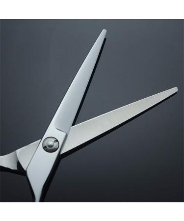 Hairdressing Scissors Hair Scissors Cutting Scissor Stainless Steel for Barber Stylist (6in/17CM) - Buy Online on GoSupps.com