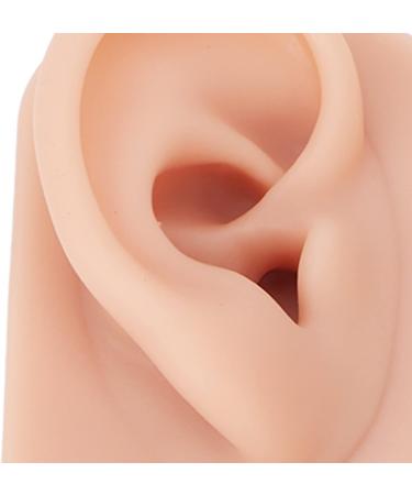 Soft Silicone Reusable Ear Model - 1 Pair, Simulated Human Skin, Middle Skin Color - Ideal for Teachers and Hospitals - Buy Online on GoSupps.com