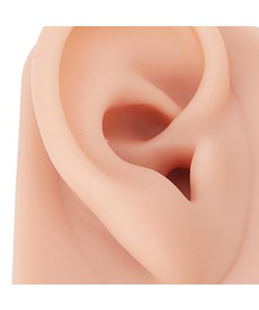 Mid Skin Ear Model Silicone Piercing Model for Ear Massage Practice Teaching Display for School and Hospital (Medium Skin Color) - Buy Online on GoSupps.com