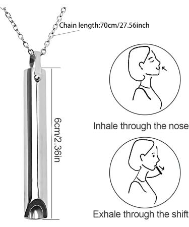 Phcozy Mindful Breathing Necklace - Stress Relief & Fear Relief - Stainless Steel Portable Jewelry for Men & Women - Buy Online on GoSupps.com
