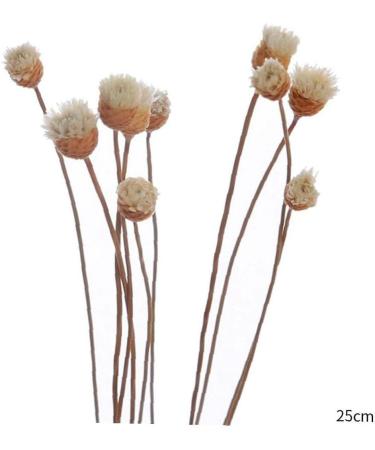 20 Rattan Diffuser Sticks for Essential Oils | Rose Replacement Refills for Home Bedroom Bathroom - Buy Online on GoSupps.com
