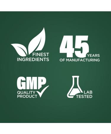 Piping Rock Saw Palmetto for Men and Women | 250 Capsules | Herb Extract Supplement | Serenoa Repens | Non-GMO Gluten Free - Buy Online on GoSupps.com