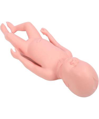 High Simulation Plastic Baby Doll for Teaching withFeatures Easy to Clean Suitable for Colleges and Clinical Training - Buy Online on GoSupps.com