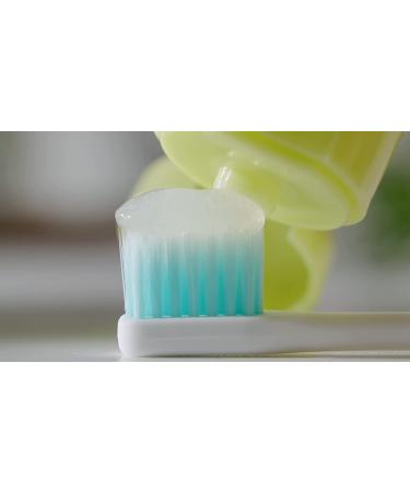 TNTNMOM'S Grapefruit Rooibos Toothpaste for Morning Sickness Relief - Pregnancy Safe Oral Care 4.2 oz - Buy Online on GoSupps.com