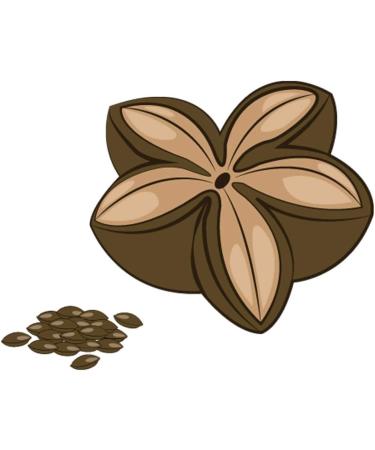  MACA MACA-FIT Sacha Inchi 180 Capsules 500 mg Omega 3-6-9 Fatty Acids kidney plant-based and cold-pressed from Peru - Buy Online on GoSupps.com