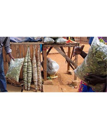 Generic Premium Kinkeliba Leaves 100% Sun Dried Organic Combretum Micranthum 60g - Buy Online on GoSupps.com