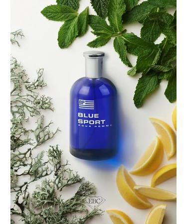 Valentine Milano for Men (EDP) & Blue Sport Cologne For Men (EDT) Fragrance for Men 3.4 Fl Oz Each (Pack of 2) - Buy Online on GoSupps.com